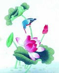 chinese master paintings birds floral c art b0199 A4 Photo Print