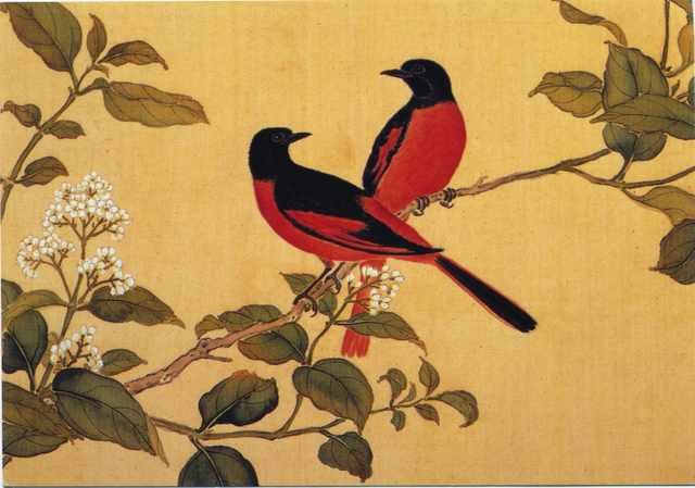 chinese master paintings birds floral c art b02 A4 Photo Print