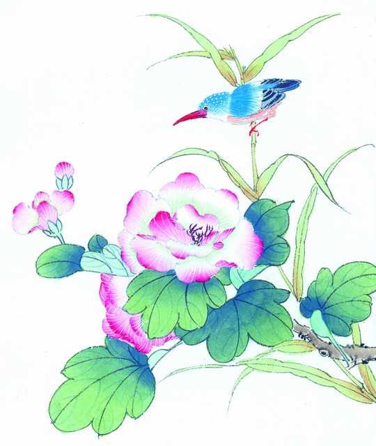 chinese master paintings birds floral c art b0200 A4 Photo Print