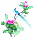chinese master paintings birds floral c art b0206 A4 Photo Print