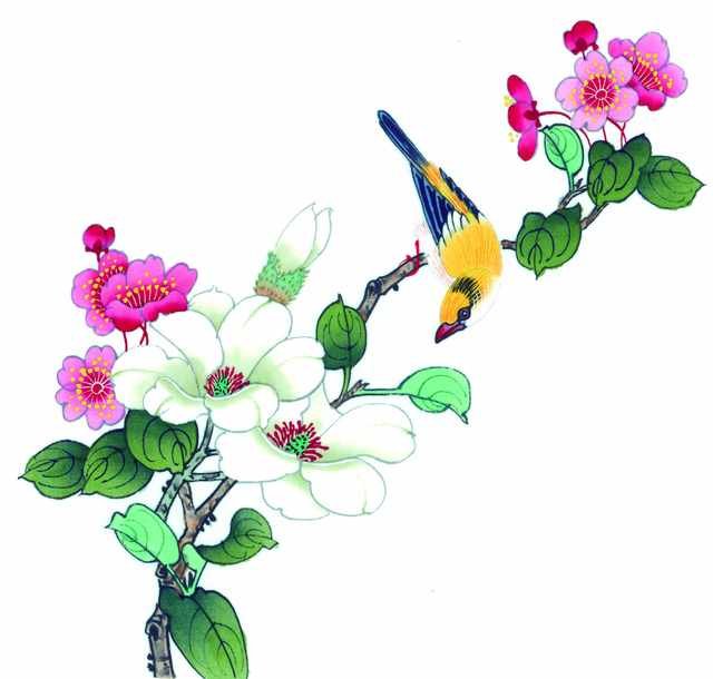 chinese master paintings birds floral c art b0207 A4 Photo Print