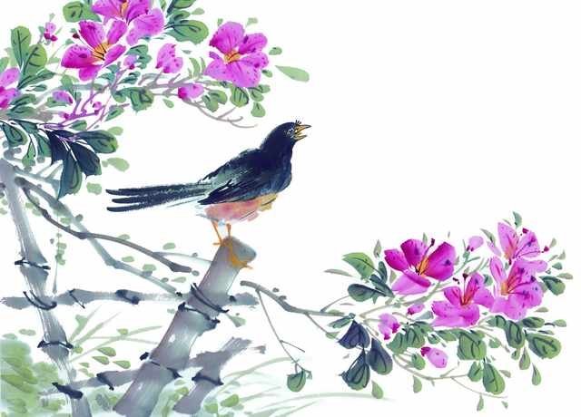 chinese master paintings birds floral c art b0213 A4 Photo Print