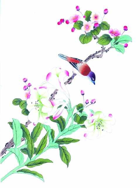 chinese master paintings birds floral c art b0225 A4 Photo Print