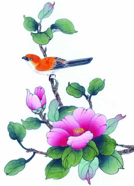 chinese master paintings birds floral c art b0229 A4 Photo Print
