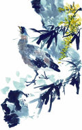 chinese master paintings birds floral c art b0232 A4 Photo Print