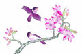 chinese master paintings birds floral c art b0233 A4 Photo Print
