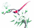 chinese master paintings birds floral c art b0237 A4 Photo Print