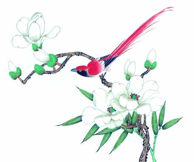 chinese master paintings birds floral c art b0237 A4 Photo Print