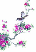 chinese master paintings birds floral c art b0238 A4 Photo Print