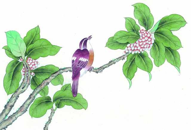chinese master paintings birds floral c art b0239 A4 Photo Print