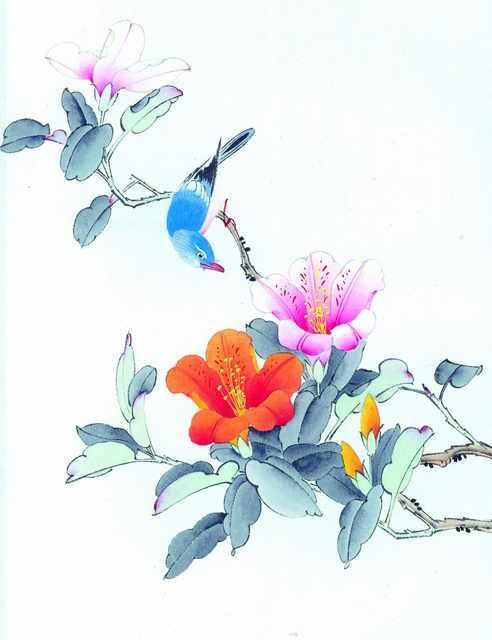 chinese master paintings birds floral c art b0241 A4 Photo Print