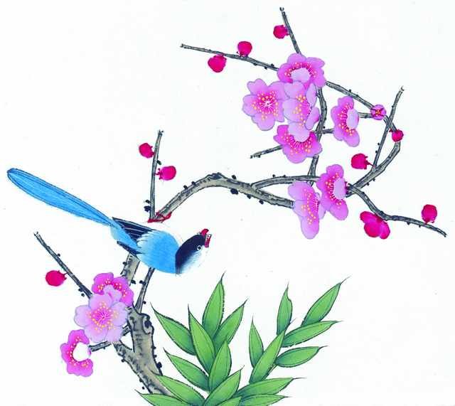 chinese master paintings birds floral c art b0245 A4 Photo Print