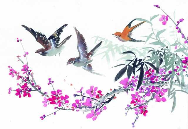 chinese master paintings birds floral c art b0248 A4 Photo Print
