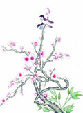 chinese master paintings birds floral c art b0249 A4 Photo Print