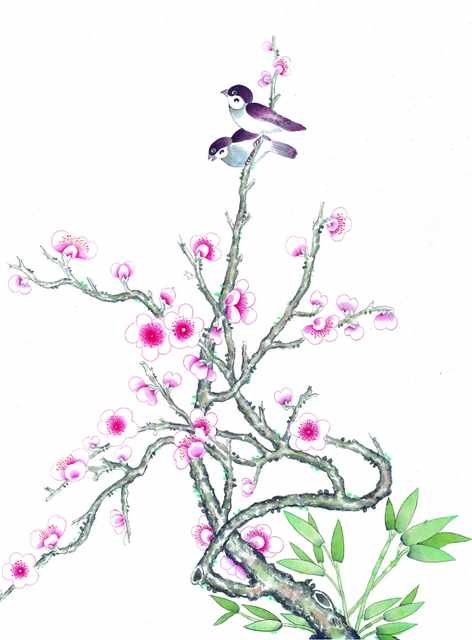 chinese master paintings birds floral c art b0249 A4 Photo Print