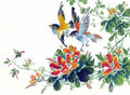 chinese master paintings birds floral c art b0251 A4 Photo Print