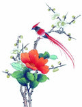 chinese master paintings birds floral c art b0253 A4 Photo Print