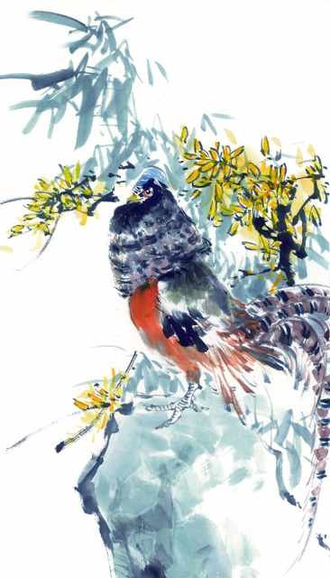 chinese master paintings birds floral c art b0257 A4 Photo Print