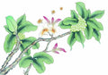 chinese master paintings birds floral c art b0258 A4 Photo Print