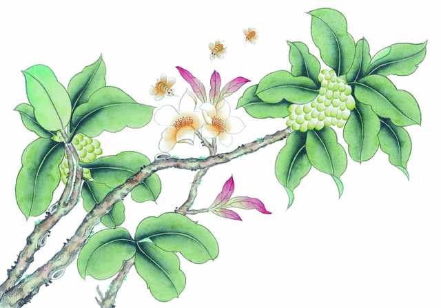 chinese master paintings birds floral c art b0258 A4 Photo Print