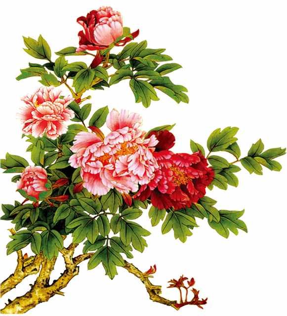 chinese master paintings birds floral c art b0261 A4 Photo Print
