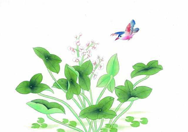 chinese master paintings birds floral c art b0262 A4 Photo Print