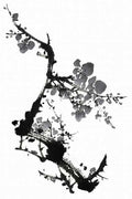 chinese master paintings birds floral c art b0267 A4 Photo Print