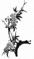 chinese master paintings birds floral c art b0268 A4 Photo Print