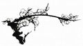chinese master paintings birds floral c art b0269 A4 Photo Print