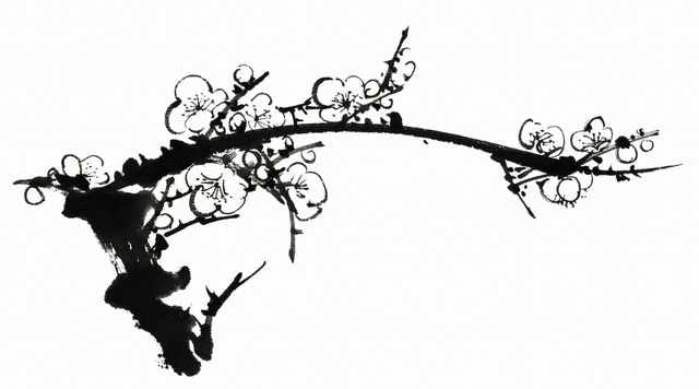 chinese master paintings birds floral c art b0269 A4 Photo Print