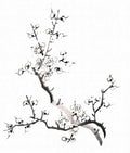 chinese master paintings birds floral c art b0270 A4 Photo Print