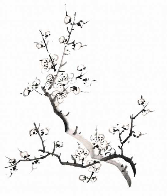 chinese master paintings birds floral c art b0270 A4 Photo Print