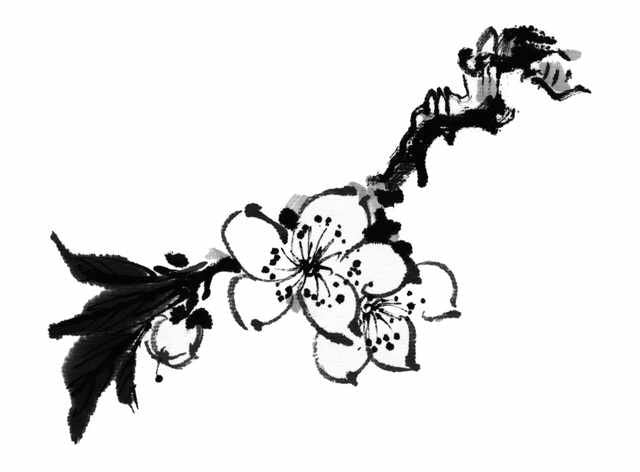 chinese master paintings birds floral c art b0271 A4 Photo Print