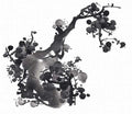 chinese master paintings birds floral c art b0272 A4 Photo Print