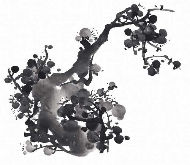 chinese master paintings birds floral c art b0272 A4 Photo Print