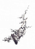 chinese master paintings birds floral c art b0274 A4 Photo Print