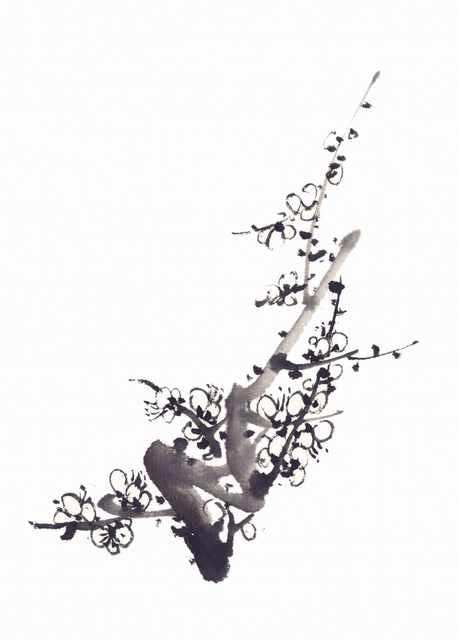chinese master paintings birds floral c art b0274 A4 Photo Print