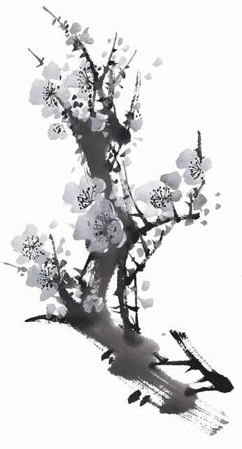 chinese master paintings birds floral c art b0276 A4 Photo Print