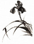 chinese master paintings birds floral c art b0278 A4 Photo Print