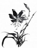 chinese master paintings birds floral c art b0280 A4 Photo Print