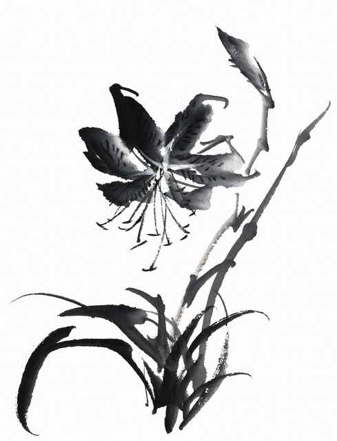 chinese master paintings birds floral c art b0280 A4 Photo Print
