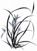 chinese master paintings birds floral c art b0282 A4 Photo Print
