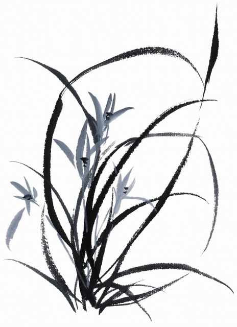 chinese master paintings birds floral c art b0282 A4 Photo Print