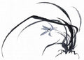 chinese master paintings birds floral c art b0285 A4 Photo Print