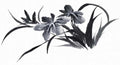chinese master paintings birds floral c art b0286 A4 Photo Print