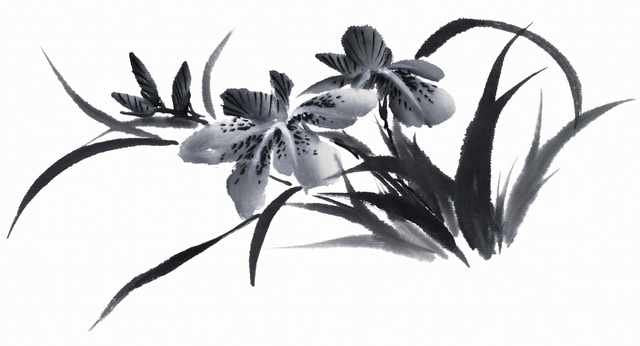 chinese master paintings birds floral c art b0286 A4 Photo Print