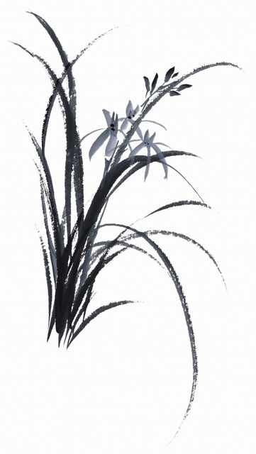 chinese master paintings birds floral c art b0287 A4 Photo Print