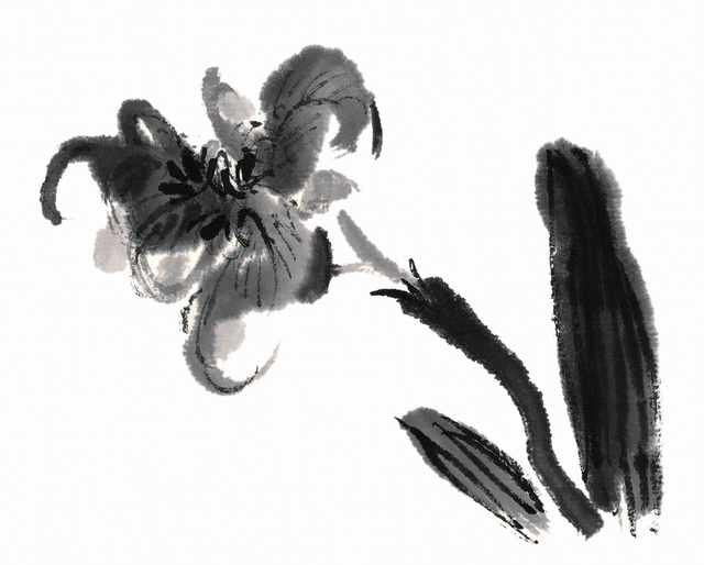 chinese master paintings birds floral c art b0288 A4 Photo Print