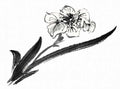 chinese master paintings birds floral c art b0289 A4 Photo Print