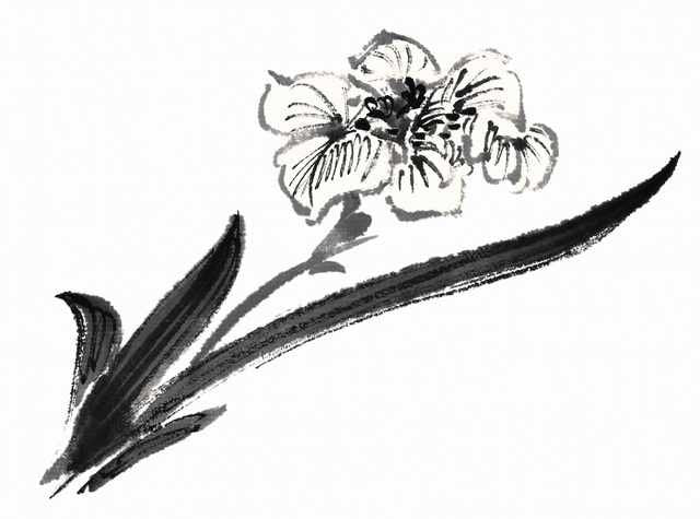 chinese master paintings birds floral c art b0289 A4 Photo Print